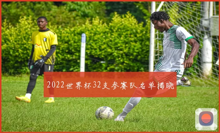 2022世界杯32支参赛队名单揭晓