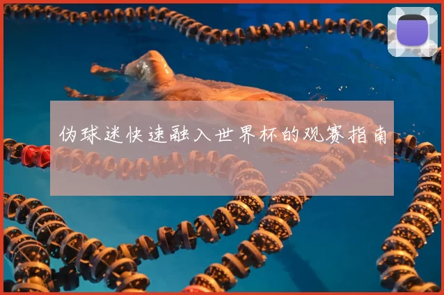 伪球迷快速融入世界杯的观赛指南