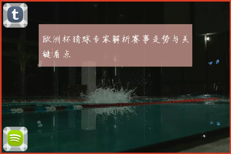 欧洲杯猜球专家解析赛事走势与关键看点