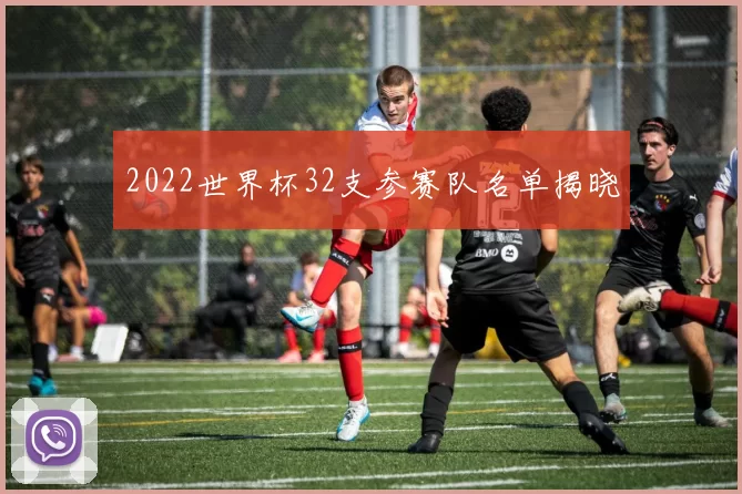 2022世界杯32支参赛队名单揭晓