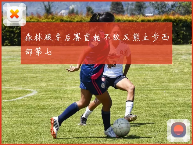 森林狼季后赛首轮不敌灰熊止步西部第七