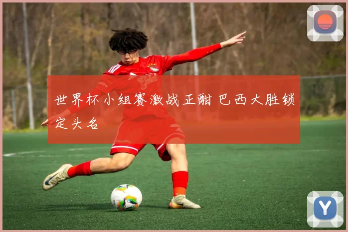 世界杯小组赛激战正酣 巴西大胜锁定头名