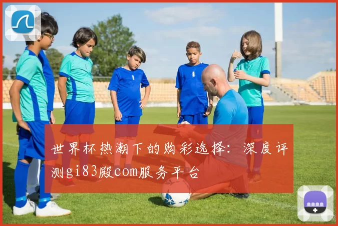 世界杯热潮下的购彩选择：深度评测gi83殿com服务平台