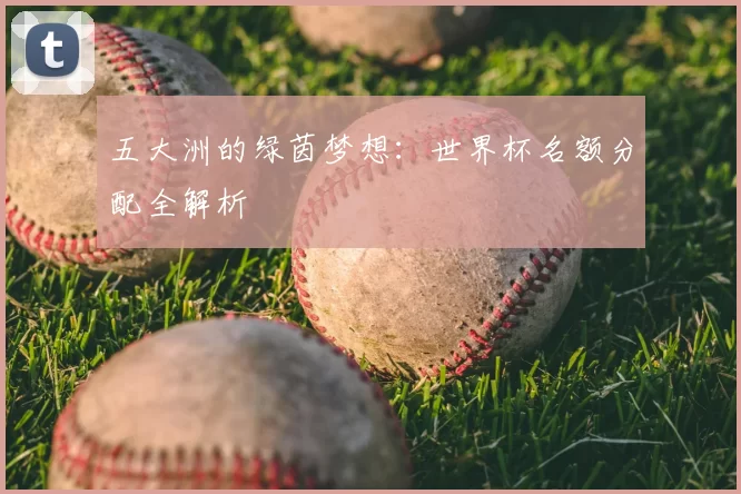五大洲的绿茵梦想:世界杯名额分配全解析