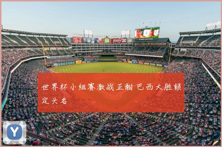 世界杯小组赛激战正酣 巴西大胜锁定头名